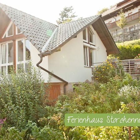 Ferienwohnung Storchennest Mit E-Ladestation Waldshut-Tiengen Exterior foto